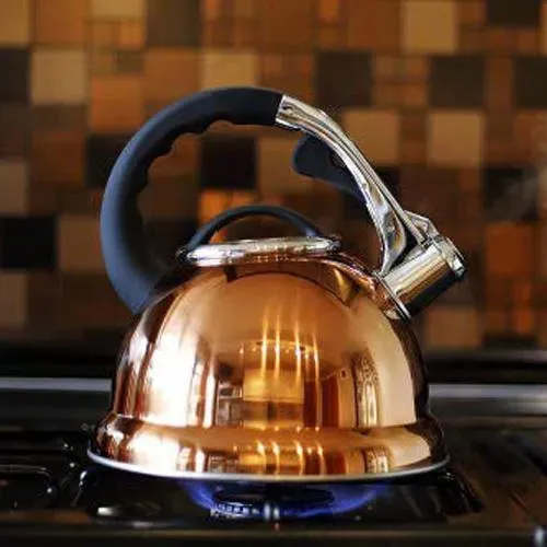 3.5 Litre Copper Stainless Steel Whistling Kettle Gas Electric & Induction Hobs