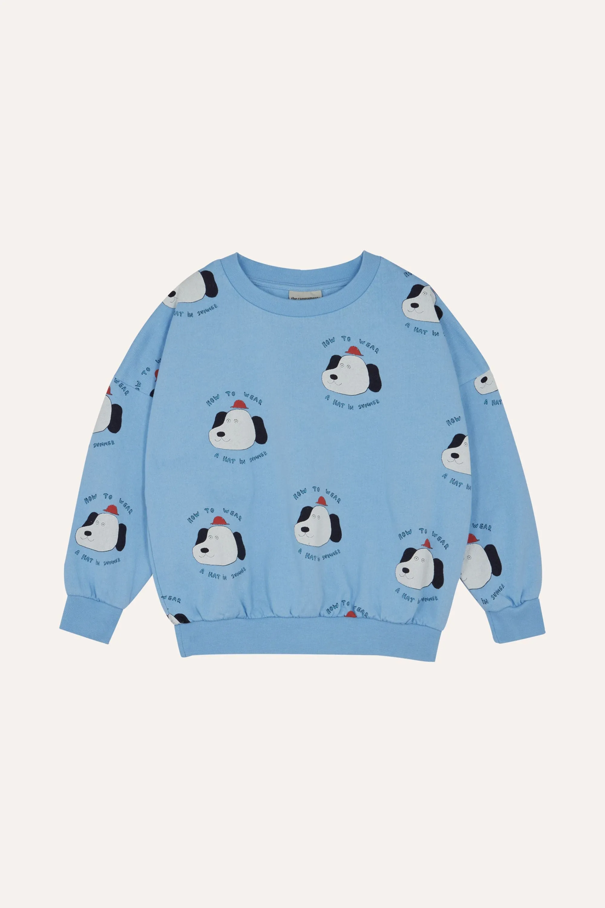 Dogs Sweatshirt in Light Blue