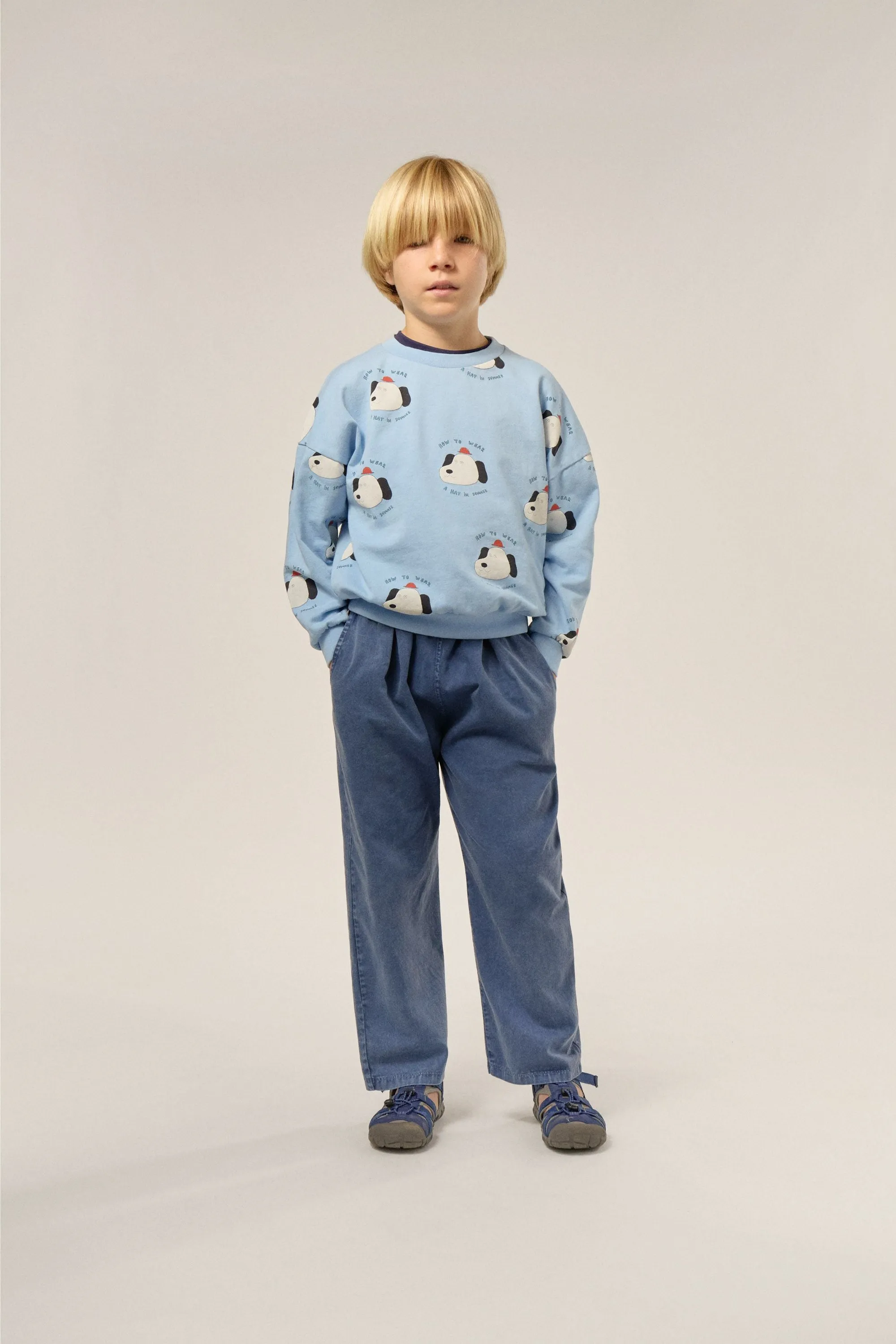 Dogs Sweatshirt in Light Blue