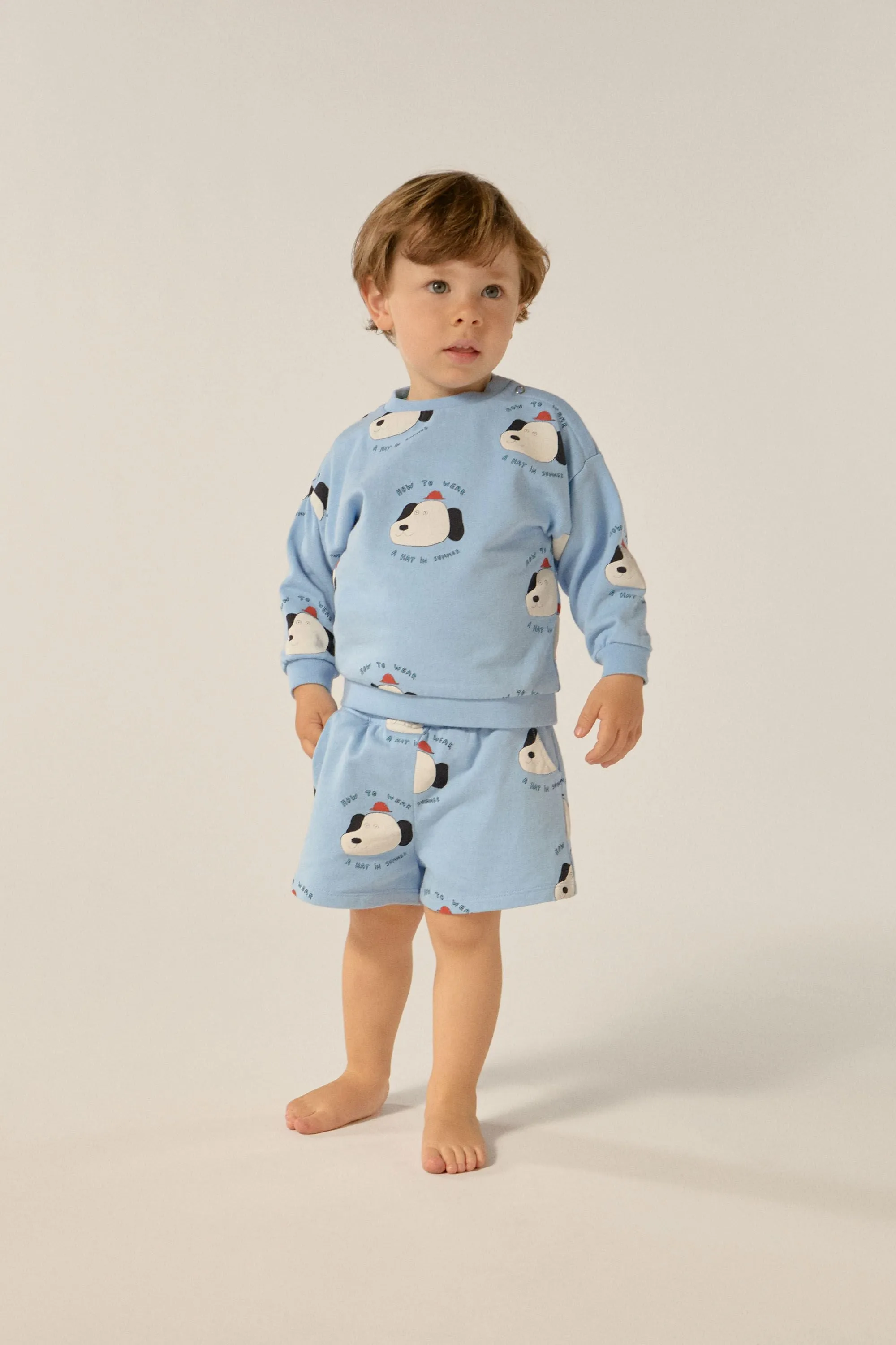 Dogs Sweatshirt in Light Blue