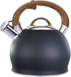 Stainless Steel One Touch Button Whistle Teapot with Anti Scalding Handle-Black